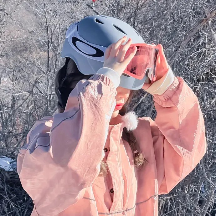 蒂科与鲨鱼