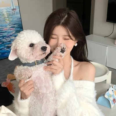 凤皇传